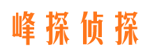 仁布市调查公司